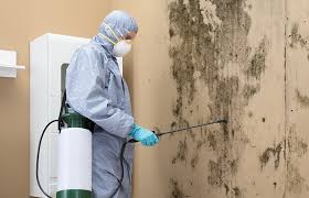 Best Forensic Mold Investigation  in Poynette, WI